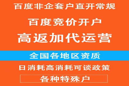 社交平台信息流广告推广的典型案例分析